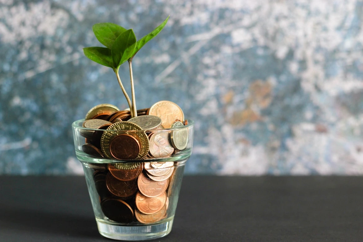 Smart Money Management Tips for a Secure Financial Future